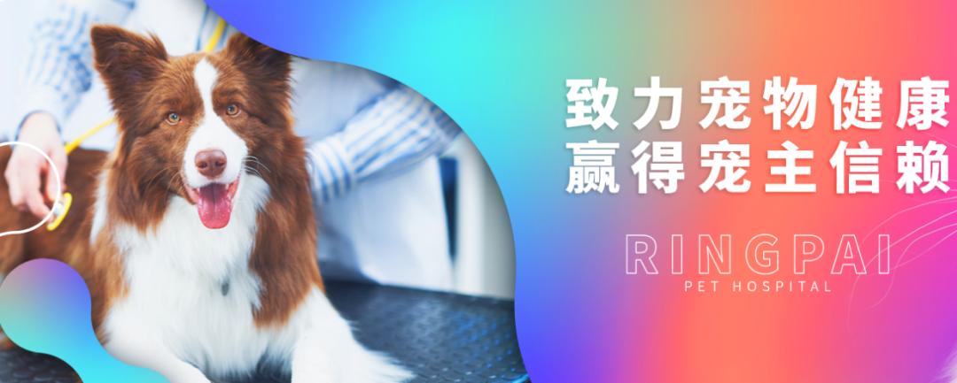 瑞派收购个人宠物医院,瑞派宠物医院动物尸体处理