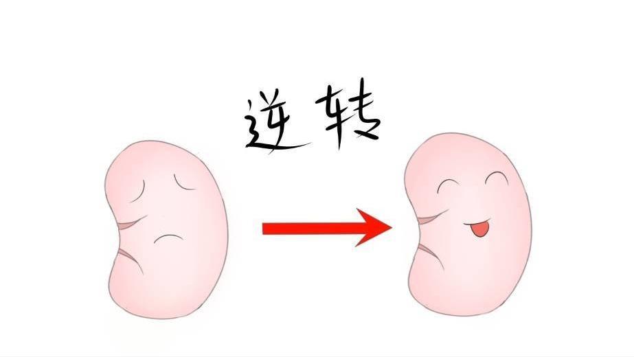 糖尿病能通过饮食恢复正常吗,预防糖尿病饮食注意事项及禁忌