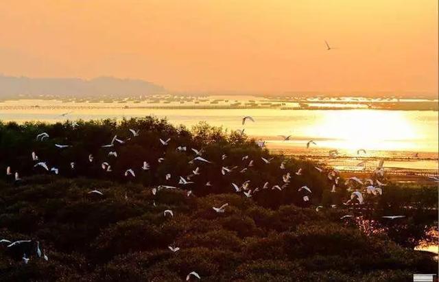 广东周边海边冷门渔村,广东十大冷门自驾游