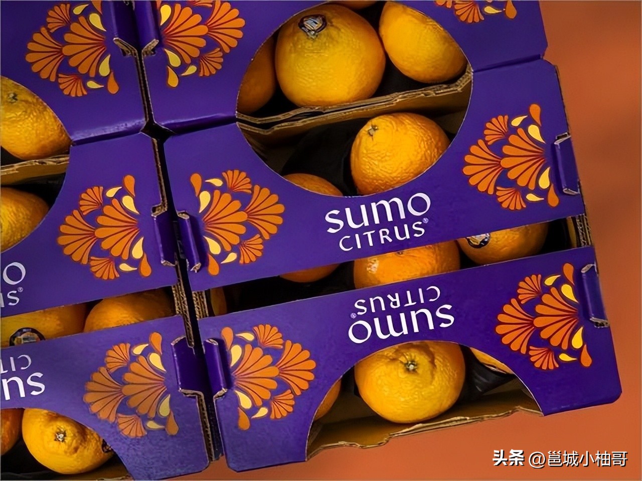 海吉星水果批发市场事件,南宁海吉星卖榴莲遇到打假人事件