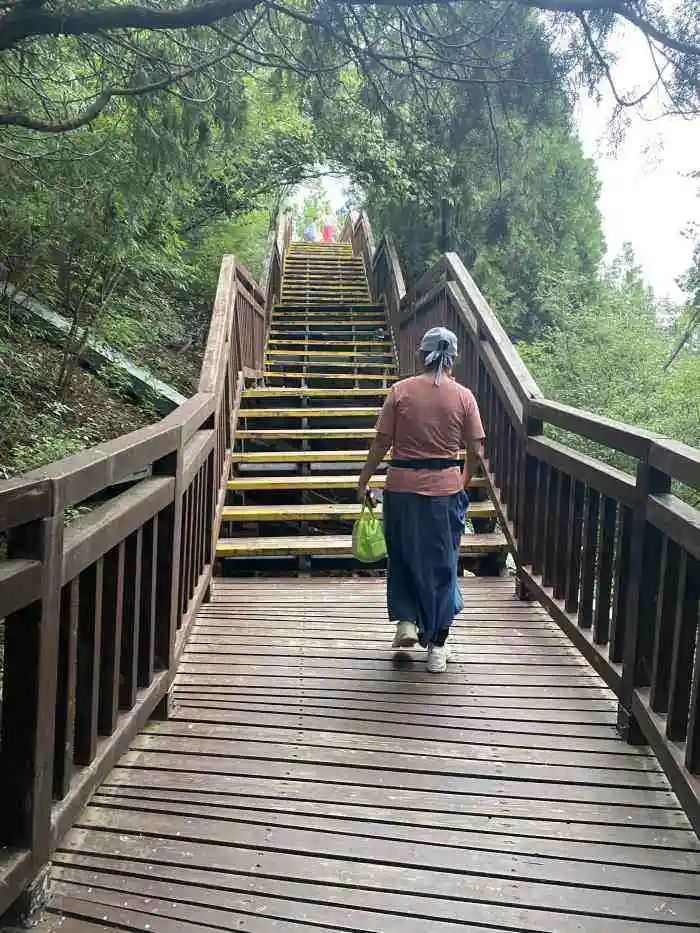 京郊步道旅游攻略,最惊艳的森林步道