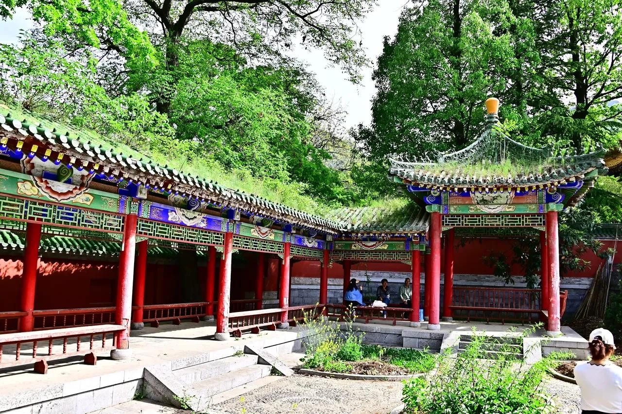 西木回忆录写作第四讲：开头精修，如何写出具有吸引力的开头