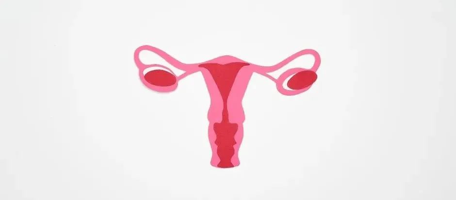 感染hpv患宫颈癌的几率大吗,hpv感染得宫颈癌的几率大吗