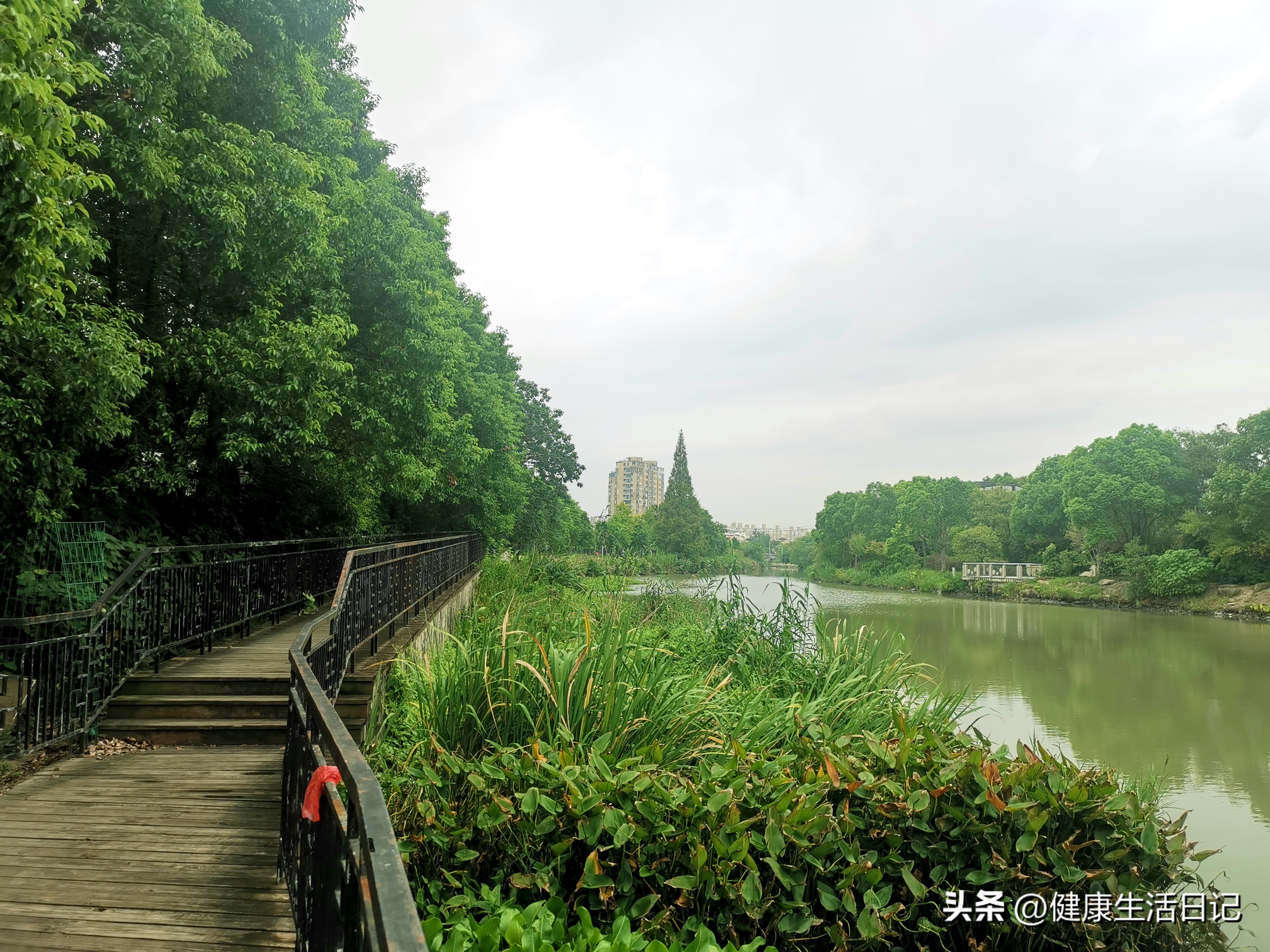 上海三林的公园,上海浦东三林公园在哪里