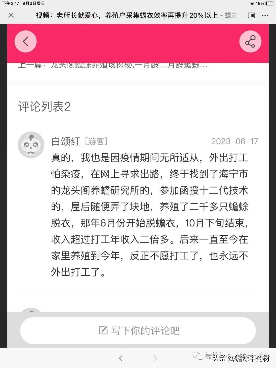 现在蟾蜍养殖前景如何,2023年蟾衣行情