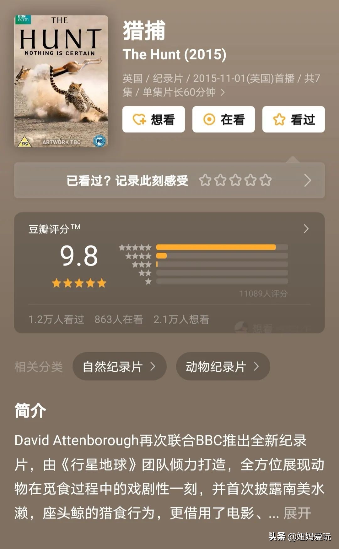 带你真切看人间的宝藏纪录片top10,十一长假适合带孩子看的纪录片