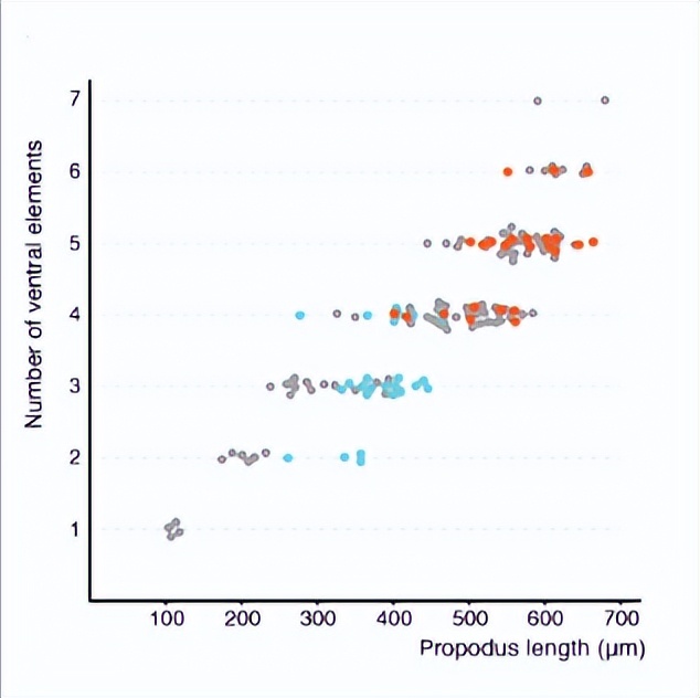 甲壳类动物断肢能再生吗,甲壳类动物肢体再生