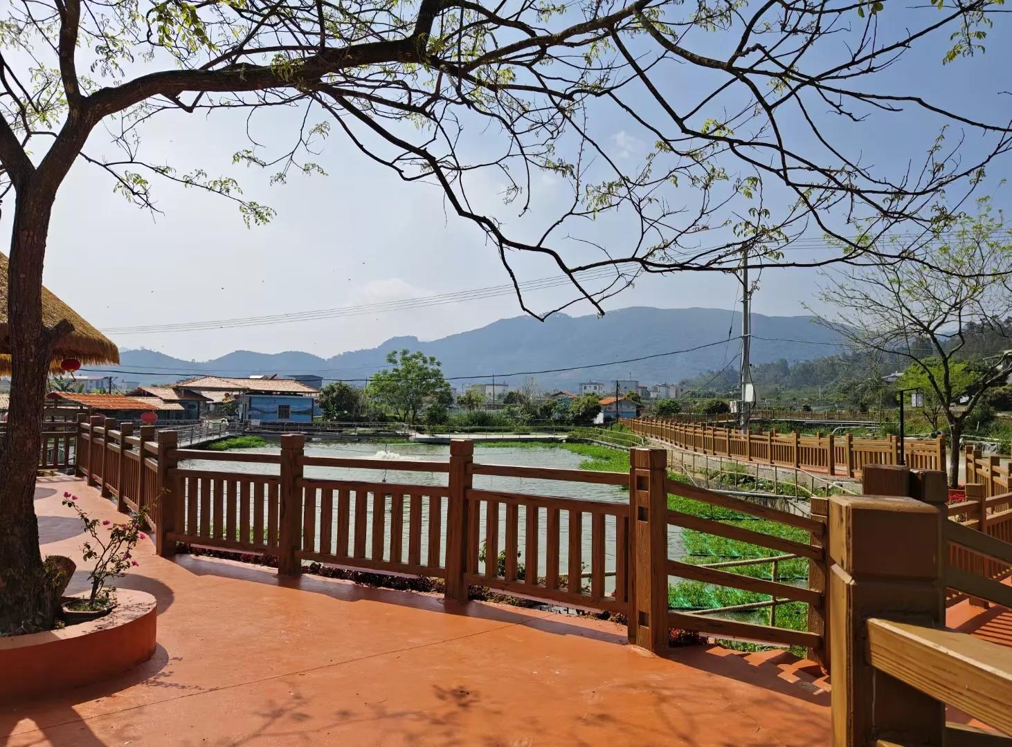 最好吃的淡水鱼排行榜,最好吃的淡水鱼品种大全