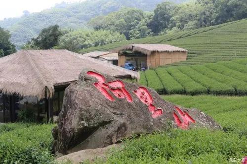 散文随笔台湾游,台北行文章