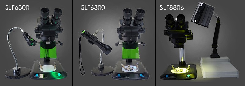 荧光蛋白有哪些,荧光的激发光源是什么