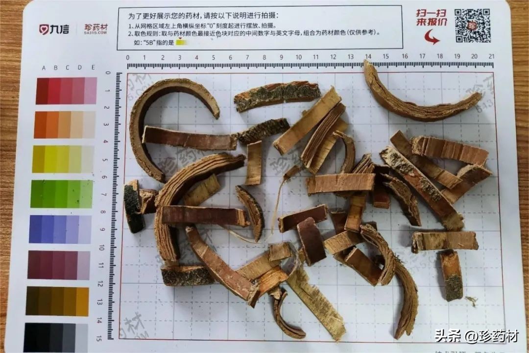 药材市场苍术最新价格行情,中药材市场快讯