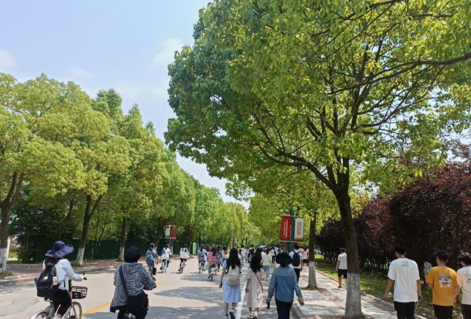 江苏性价比超高的3所大学，就业有保障，适合二本高分的学生报考