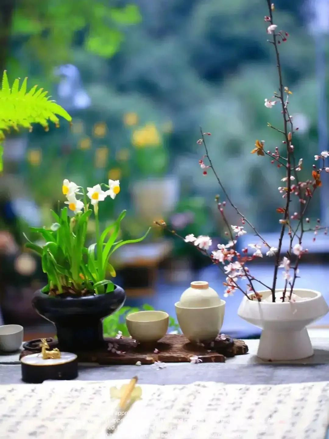 2023年03月03日星期五农历：癸卯年【兔年】二月十二八九第9天