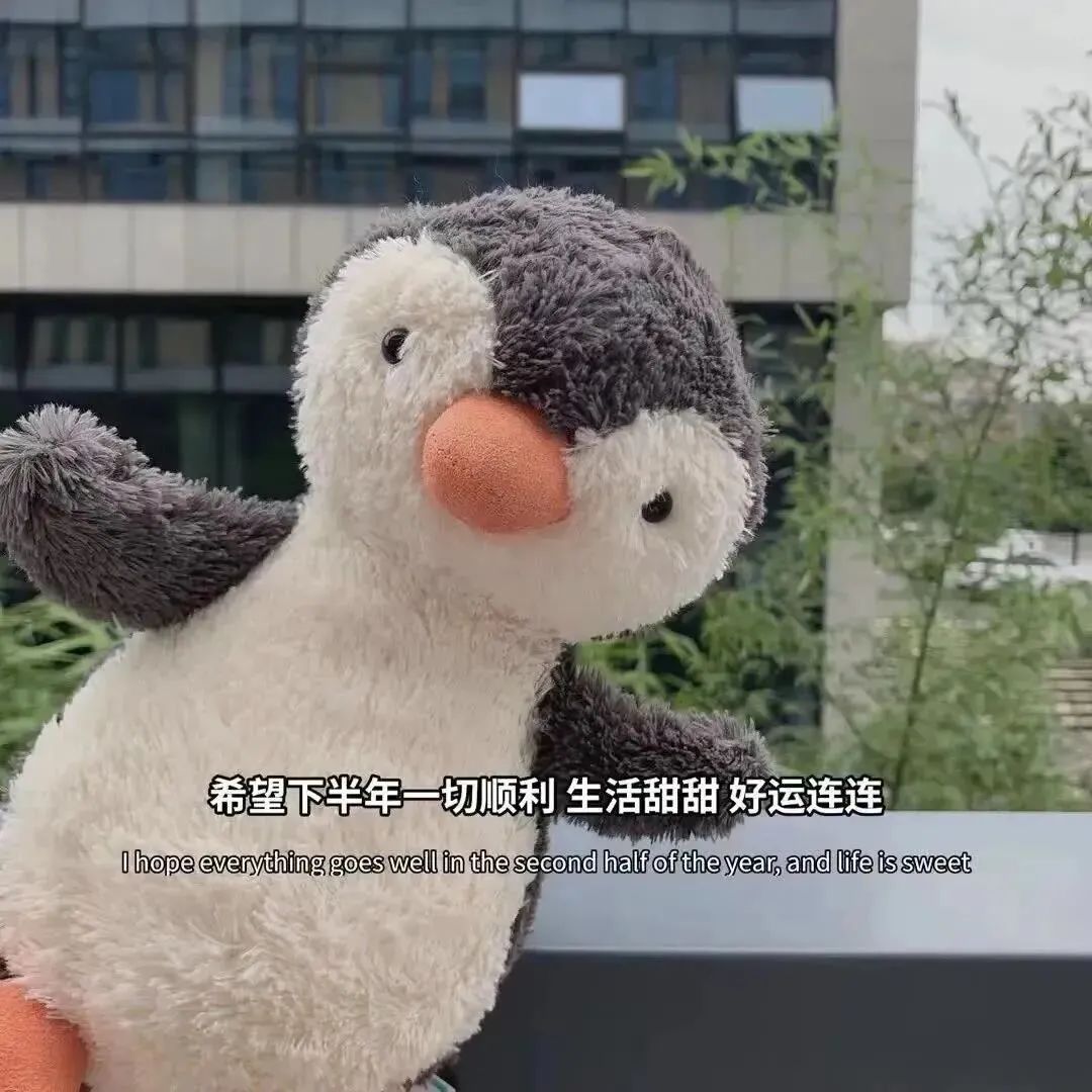 今日签收个性文字背景图,今日份高清背景图