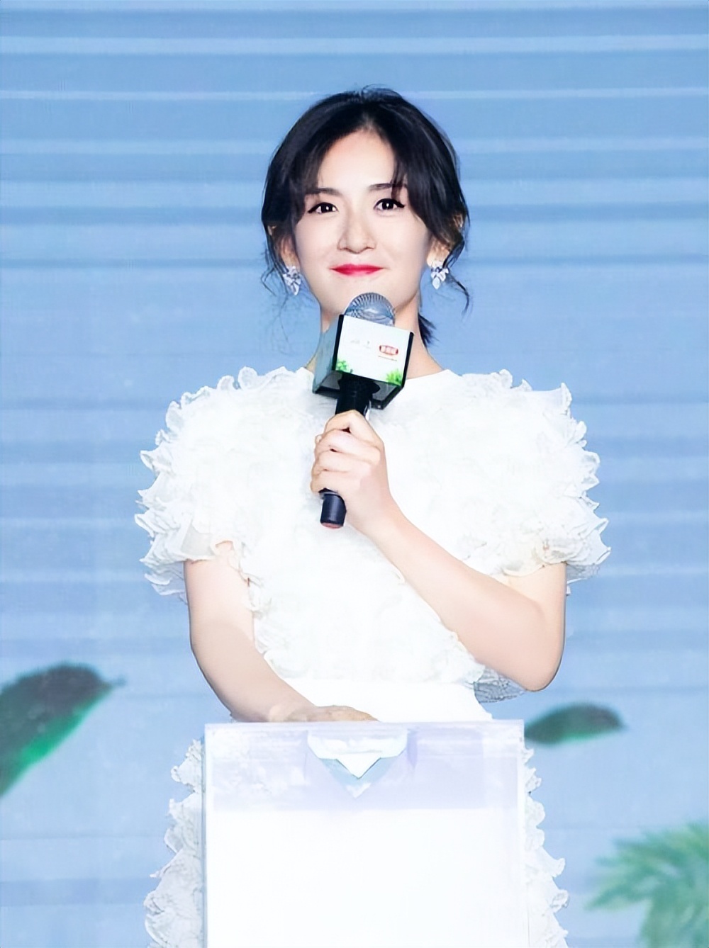 谢娜的一路走来不容易,谢娜是怎么走到现在的