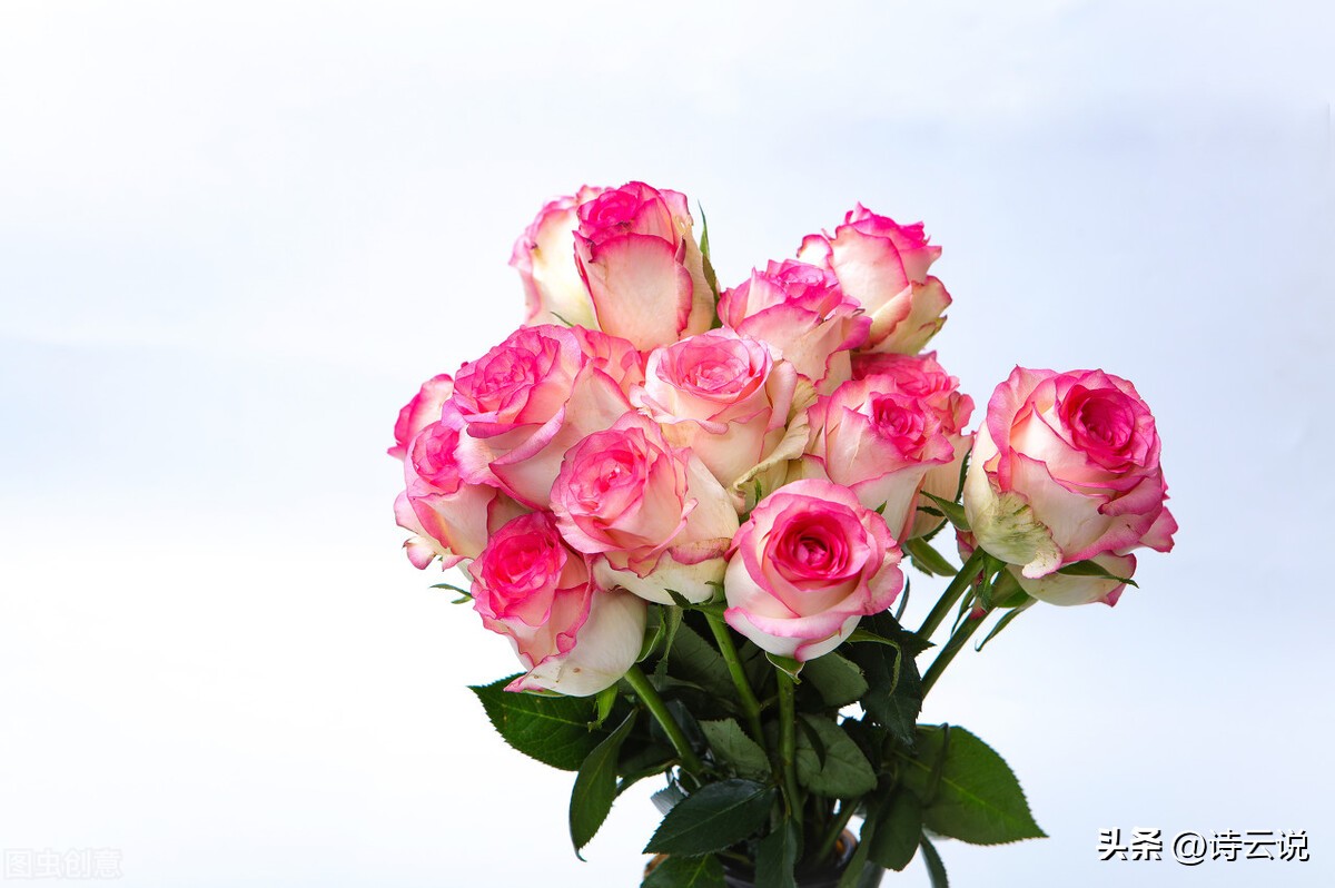 中国现代诗歌批判,戏说社会现状