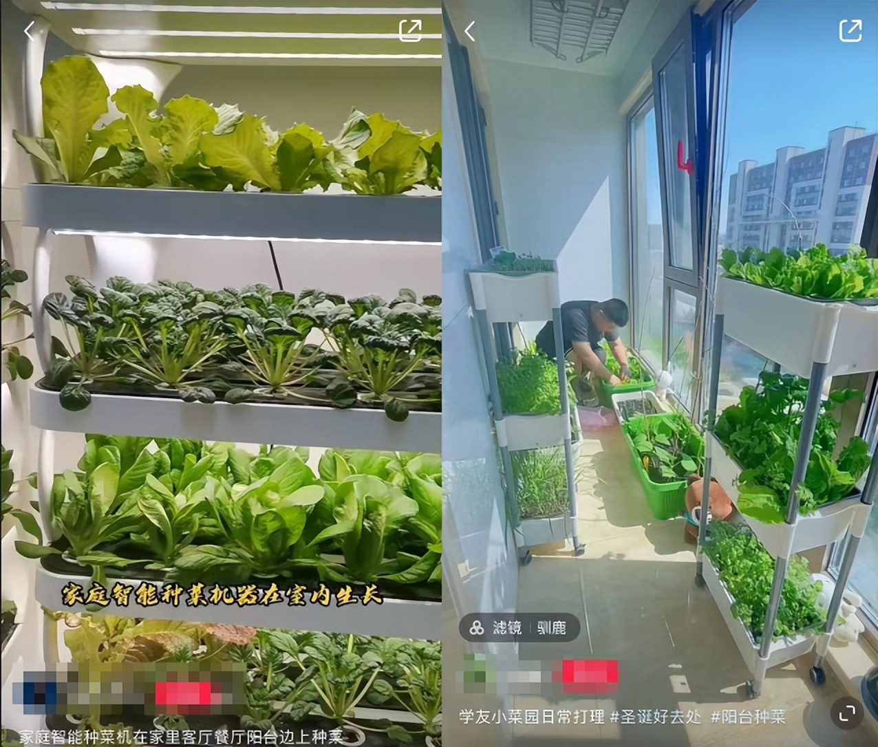 娣樺疂鍗佸ぇ瀹濊礉,娣樺疂骞村害鍗佸ぇ鍟嗗搧