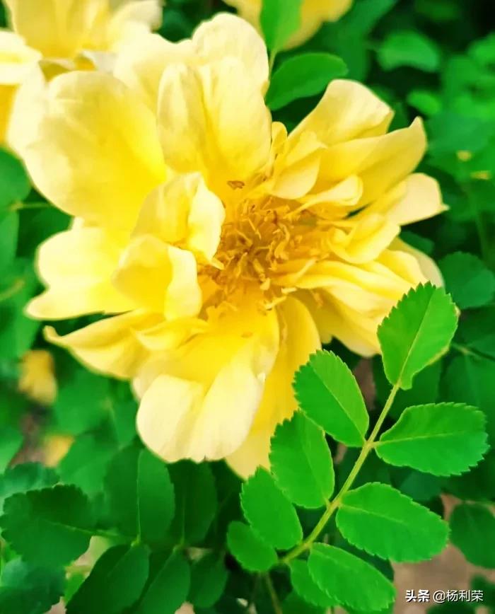 七律人生感悟二十八首,最经典的七律20首