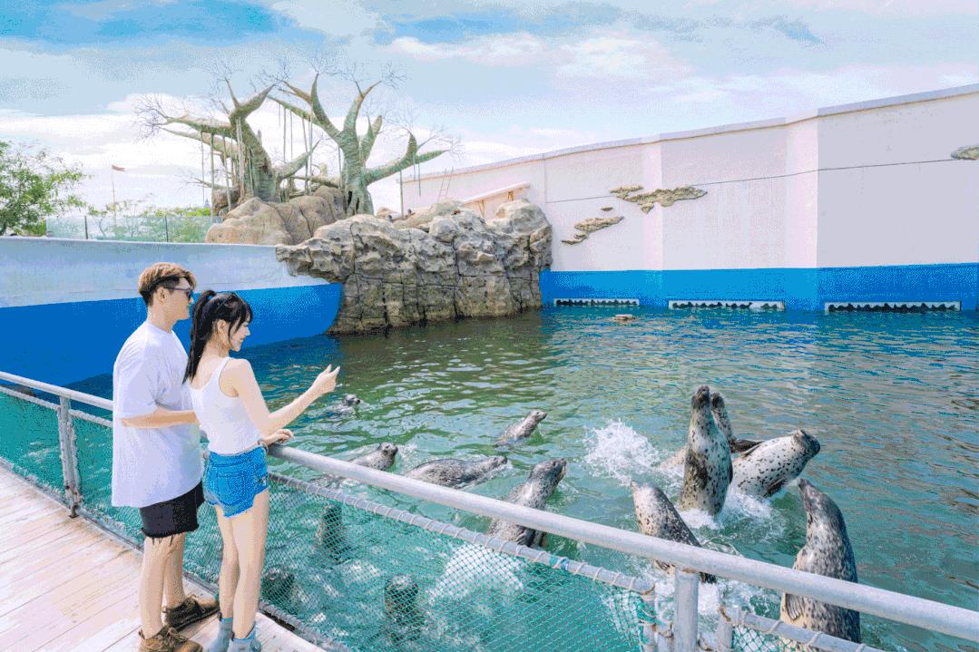 秦皇岛五一放假安排公布连休5天,秦皇岛五一旅游最新通知