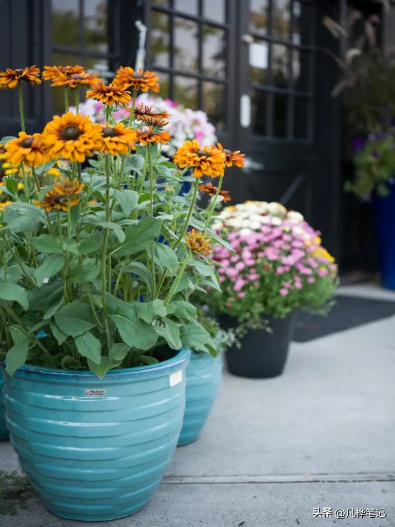 哈苏x2d100c视频,哈苏x2d100c与50c区别