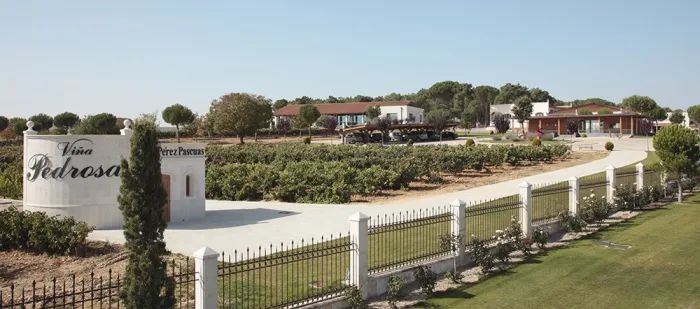 教皇喜欢谁,教皇喜欢的男孩