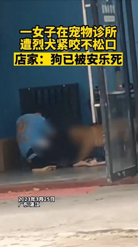 回顾贵州老人山上晨练，被杜高犬一路跟随，最终被2只杜高犬撕碎