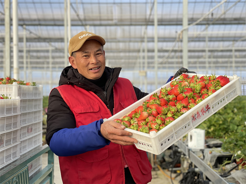 万企兴万村行动示范实践基地,万企兴万村行动案例