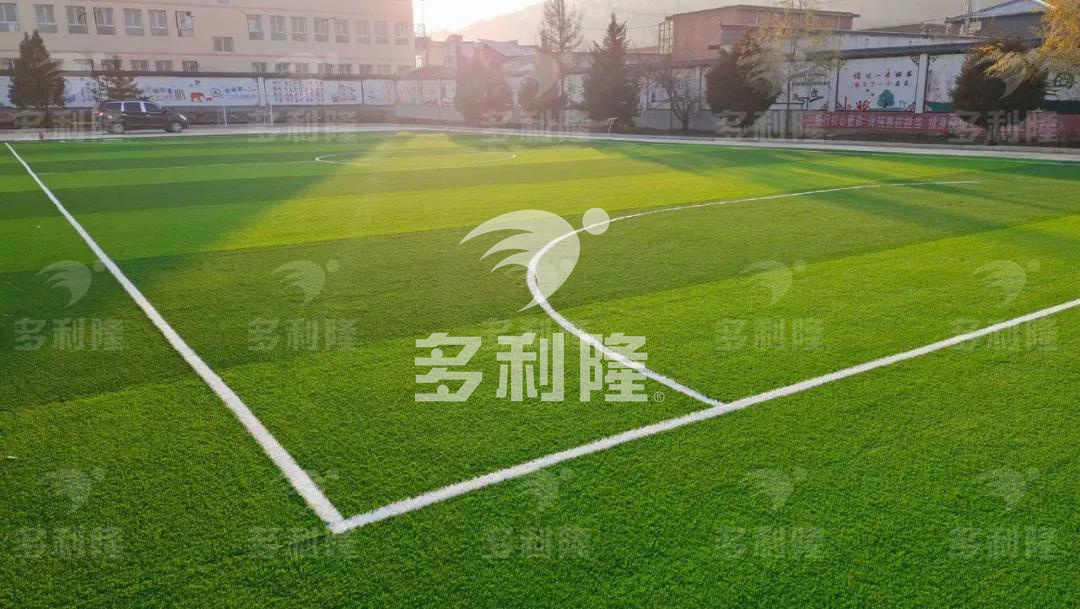 不同草坪取名大全,不同草坪如何区别