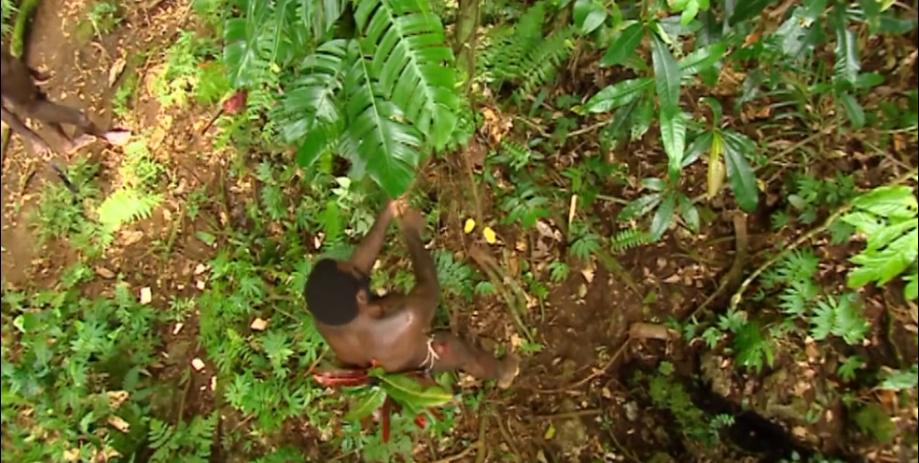 古老部落徒手捕鲨鱼,土著人原始部落捕猎鲨鱼