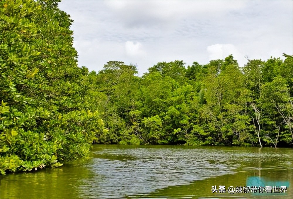 海南岛风景临高,海南临高海边哪里最好