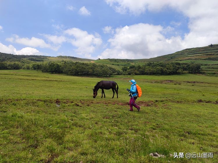 蓝天白云绿草间,蓝天白云草原绿草茵茵风景秀丽