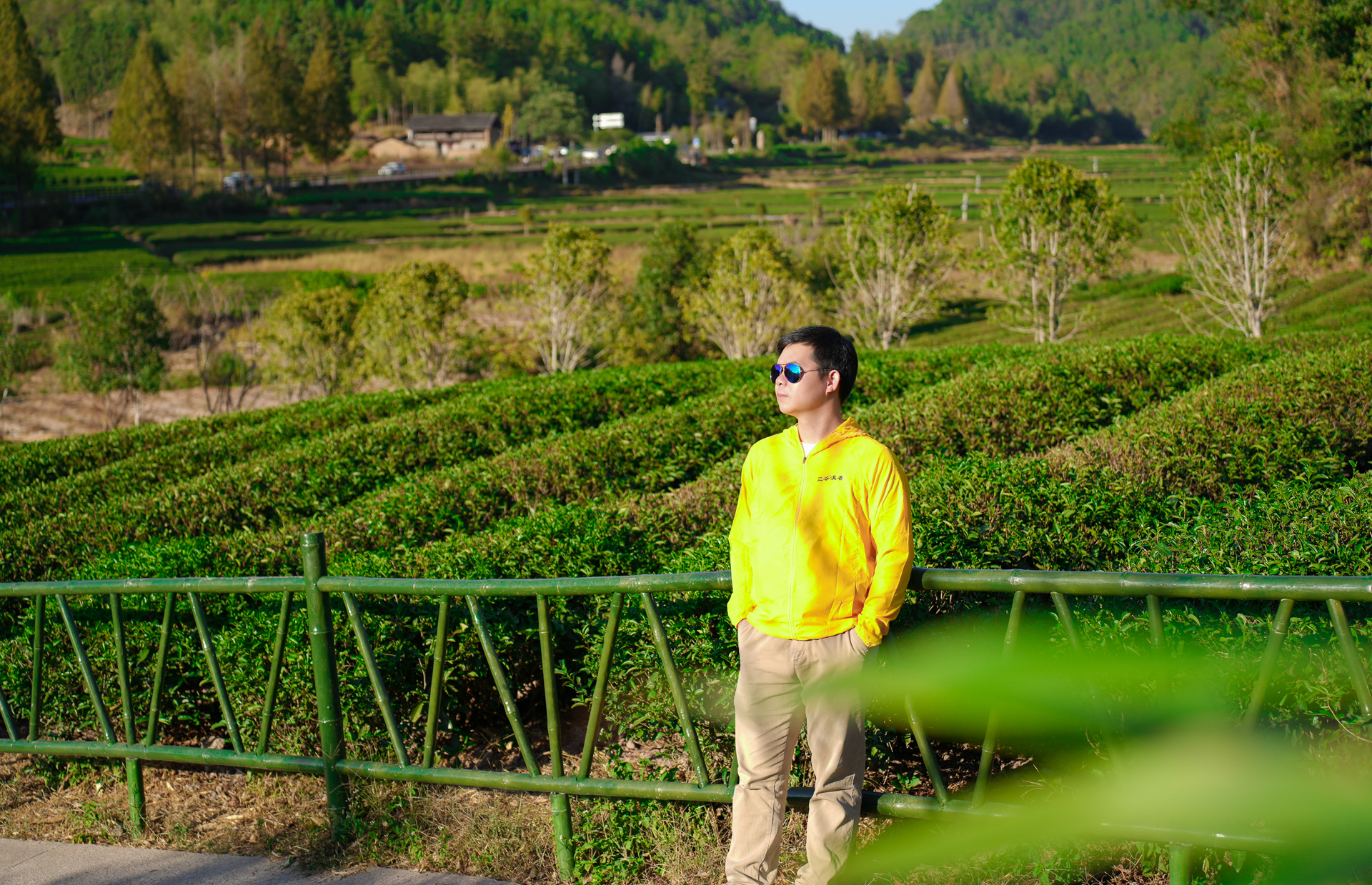 武夷山茶文化之旅,武夷山清香四溢茶