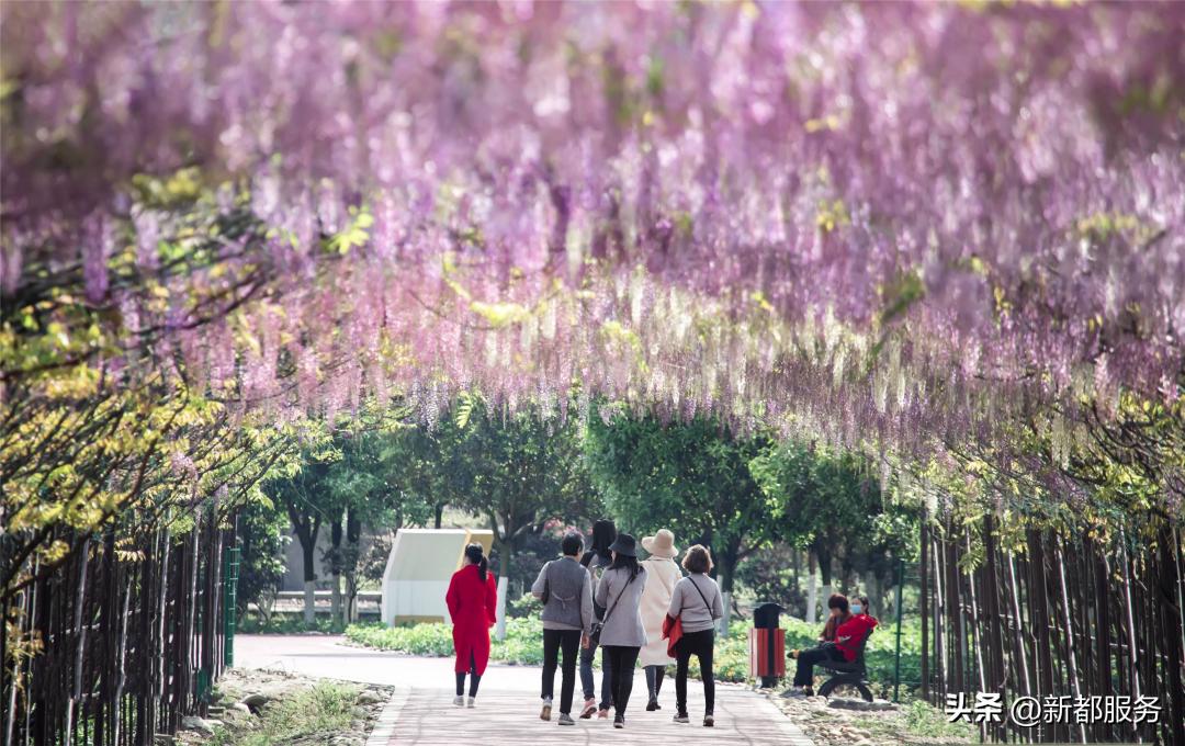 新都x06路公交车路线,新都公交x04路