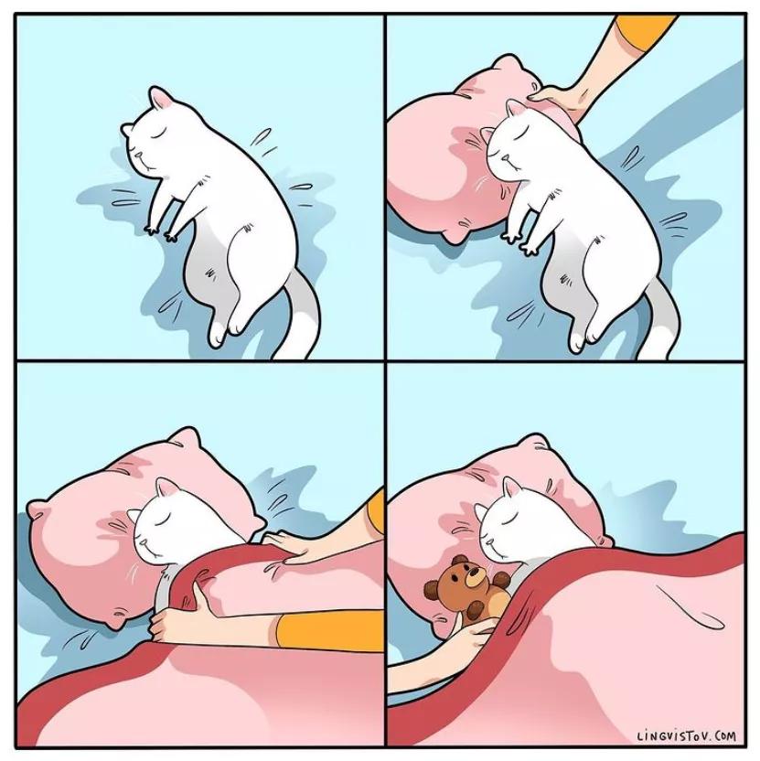 铲屎官和猫主子超级可爱的日常,喵星人与铲屎官一同成长记