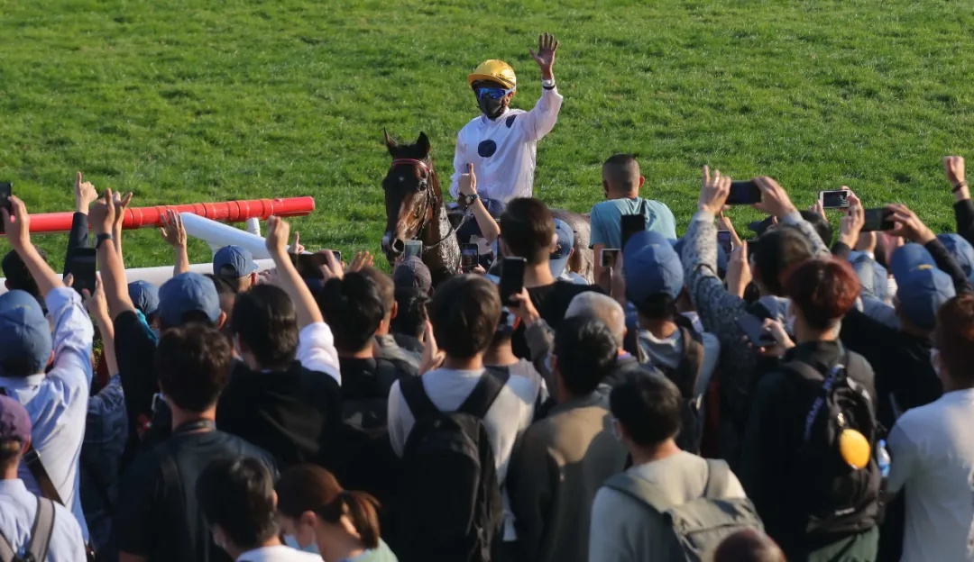 单日投注额17.28亿：1亿港元奖金香港国际赛事落幕
