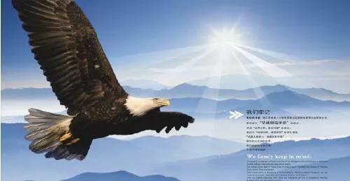 到底什么才算是成功呢,你眼中的成功是什么