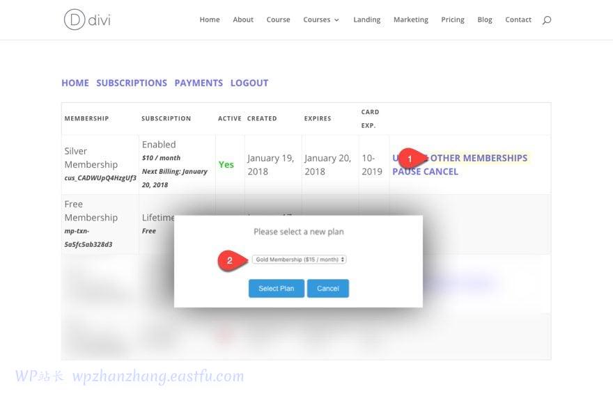 divi使用教程,divi网站搭建