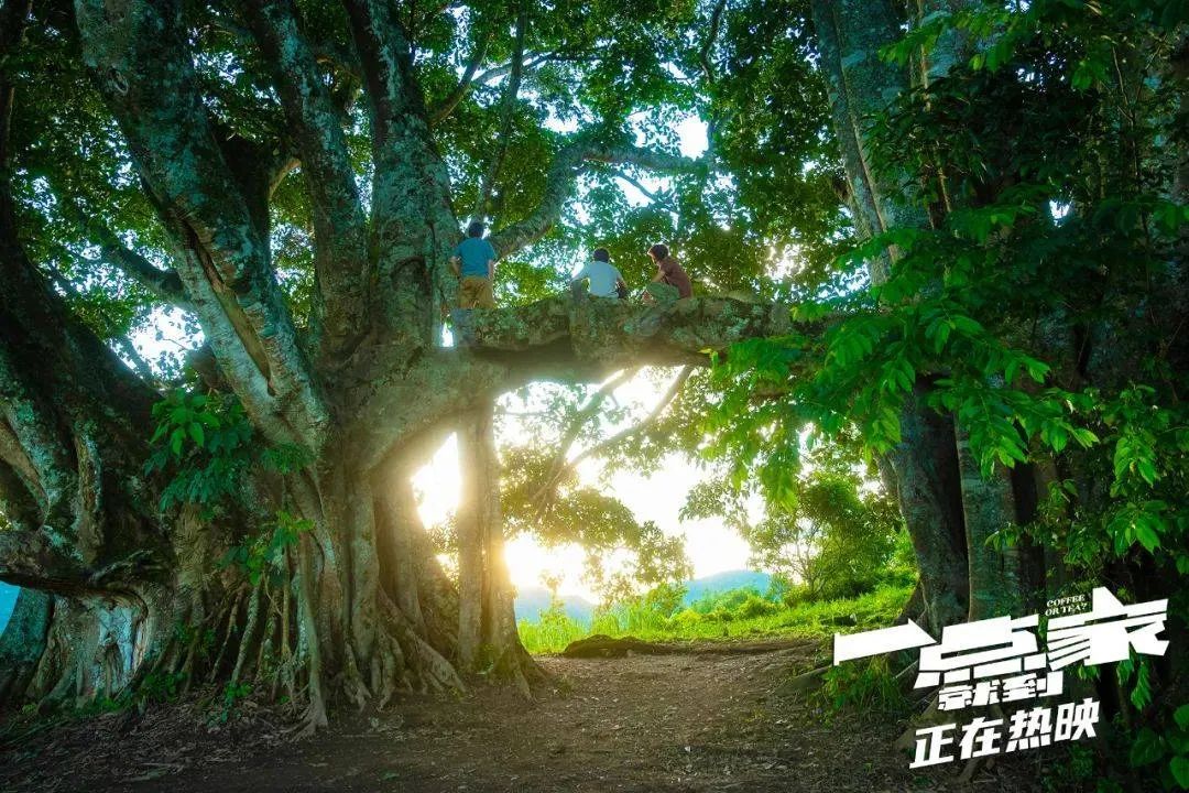 云南旅居最理想的避寒地方,云南适合旅居的小众古镇