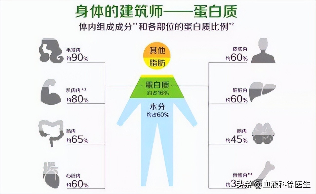 老年人别太节俭多补充这几种食物,老年人不建议吃的零食