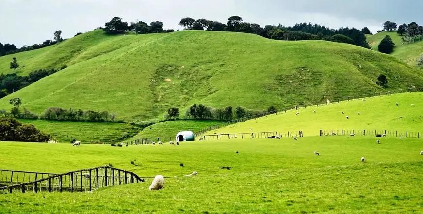 美国婴儿奶粉口碑最好的前十名,美国有哪些新生儿奶粉品牌