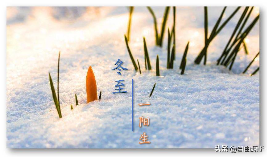 2022年理论学习收获和感悟,奋斗的十年学习心得