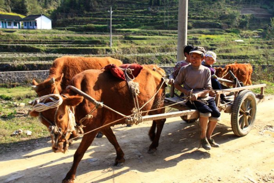 十五马赫是多快,一马赫是多少公里最大飞行速度
