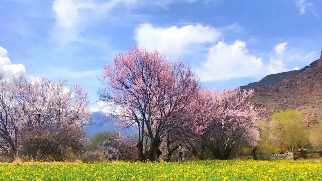 西北十大旅行攻略,西藏自驾游一日游攻略