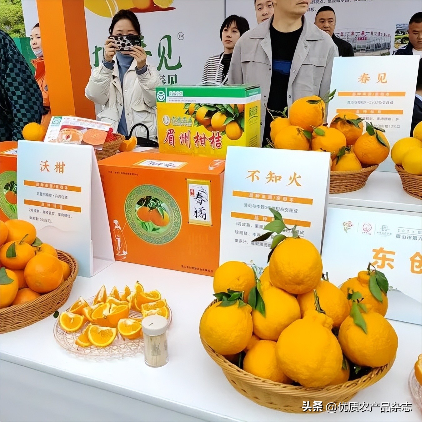 眉山春橘为什么行？