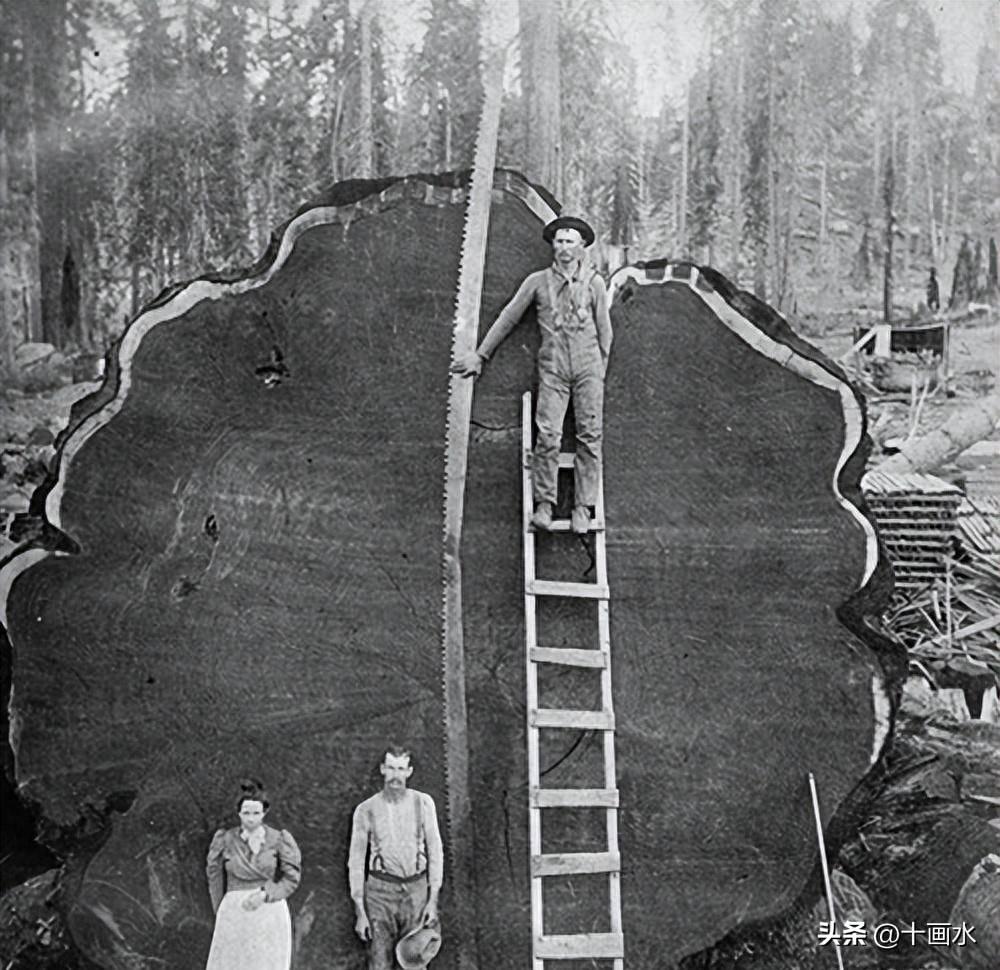 日寇侵入永州*行暴**实录，2000余妇女被奸淫，令人发指，罄竹难书2