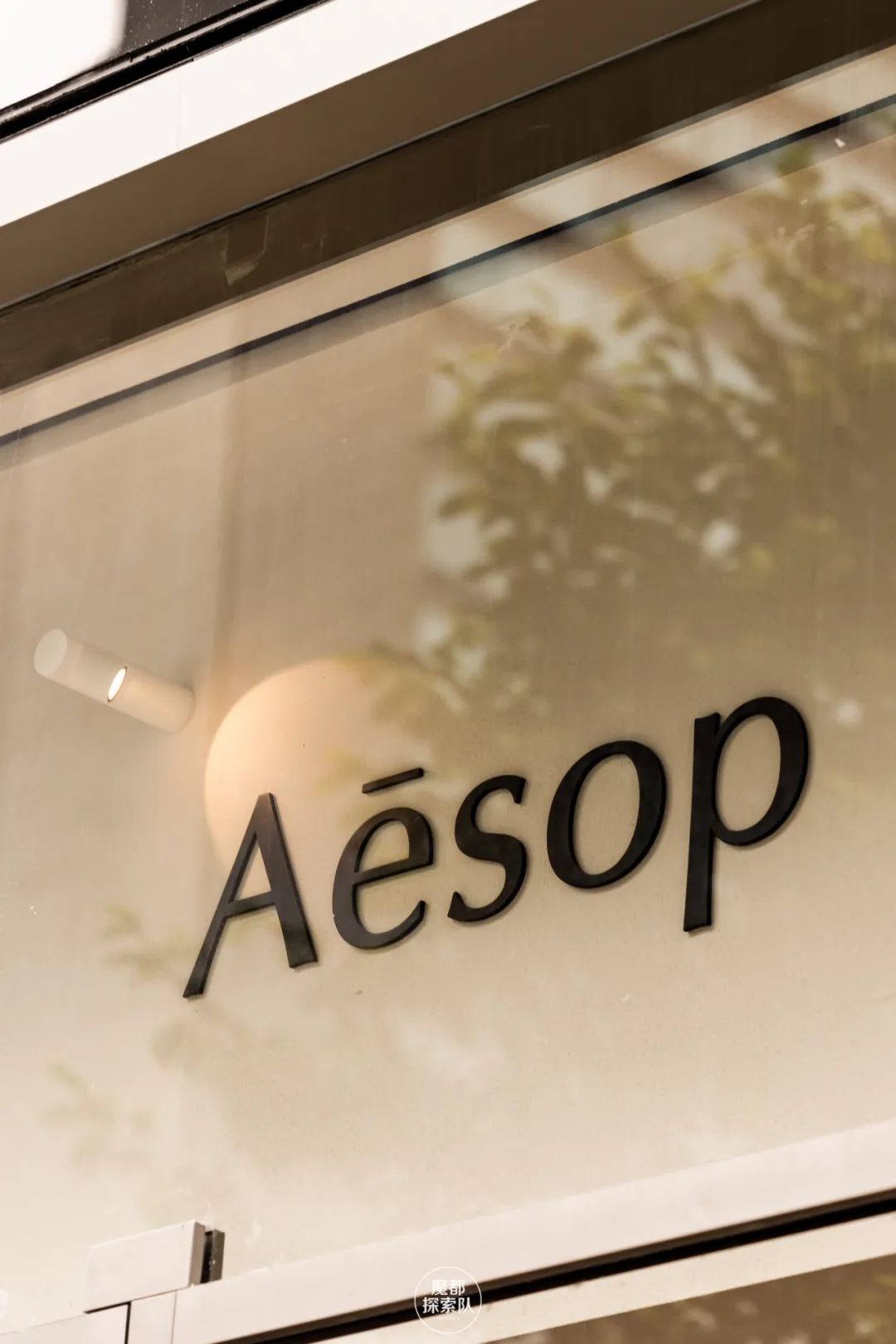 邂逅Aesop伊索全新诗意空间，感知圆融新生的传承与治愈