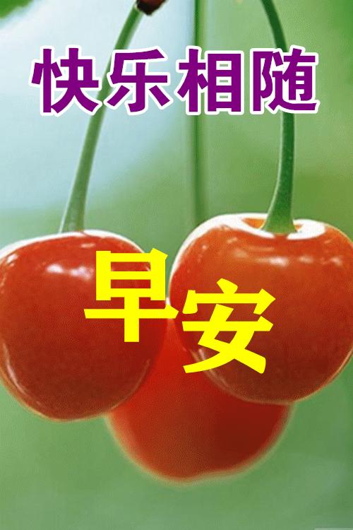 春天早晨好高级图片,春天早上好暖心祝福语图片