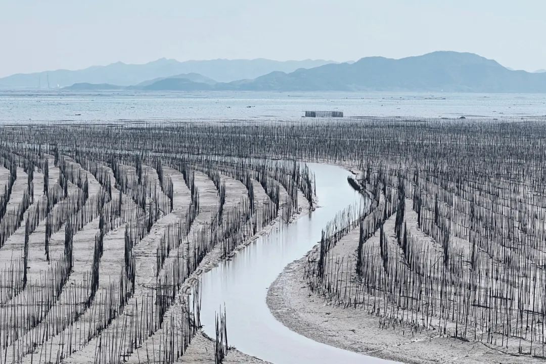 海美、小吃巨好吃！这个神还原游戏世界的小城，不该这样被埋没！