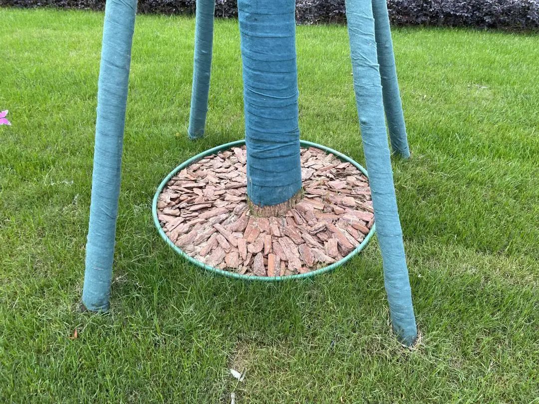 金地交房视频真实记录,金地楼盘验房