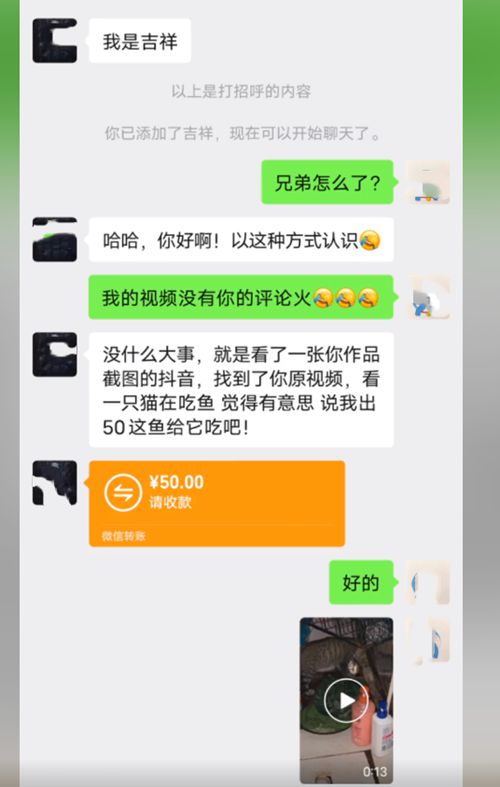 大哥暴晒1天钓了1条鱼,却被野猫盯上,小伙转账50块:这钱我出